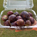 Prunes (Himachal)