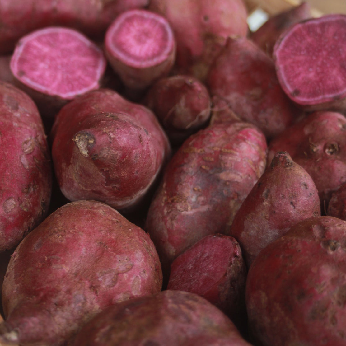 Sweet Potato (Purple)