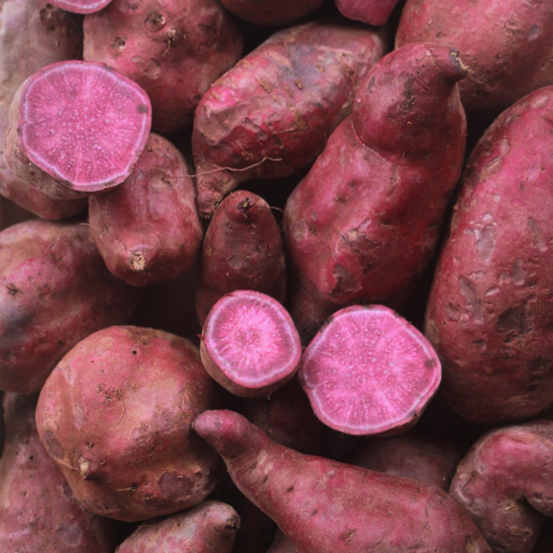Sweet Potato (Purple)