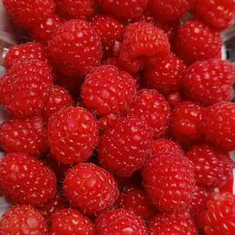 Raspberry