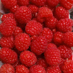 Raspberry