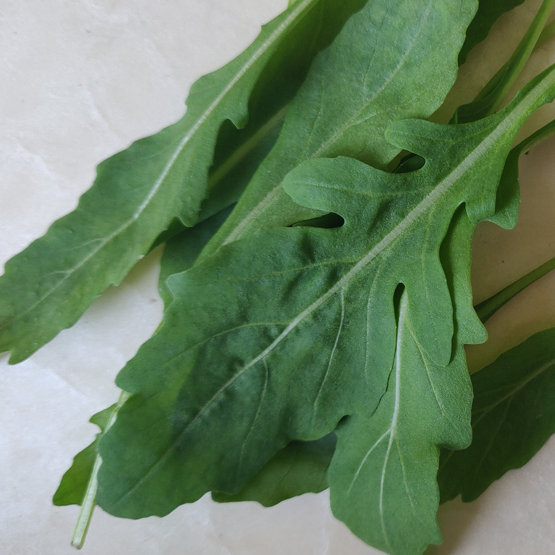 Wild Italian Rocket