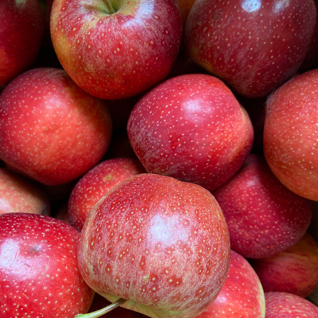 Apple (Royal Gala)