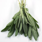 Sage