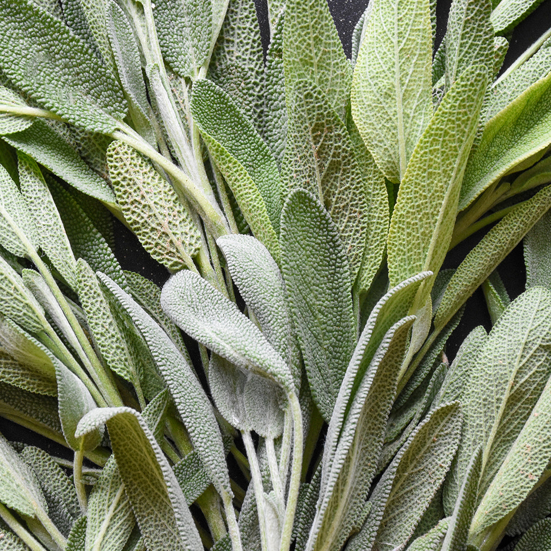 Sage