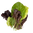 Salad Mix
