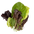 Salad Mix