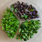 Spicy Micro Mix