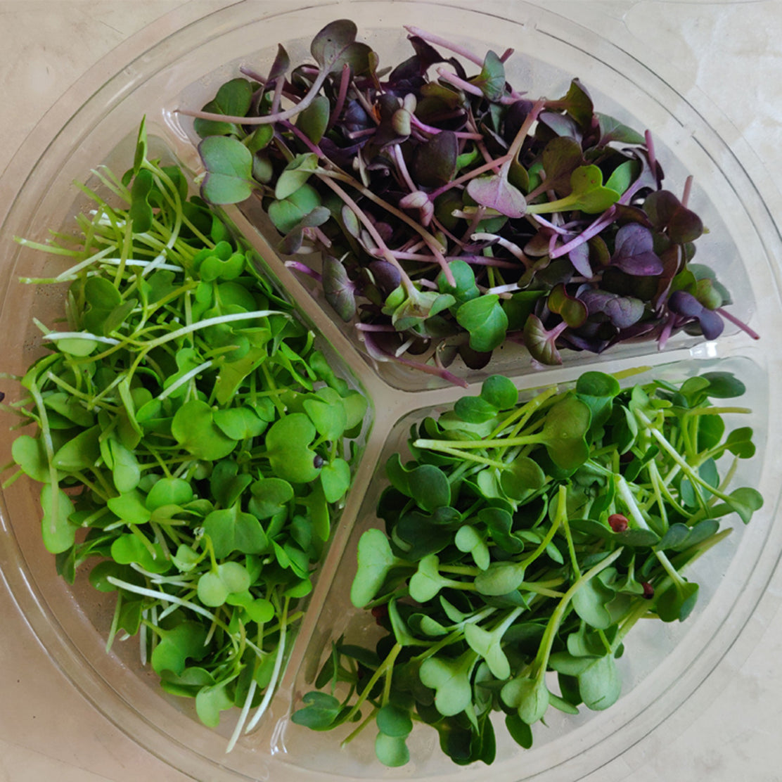 Spicy Micro Mix