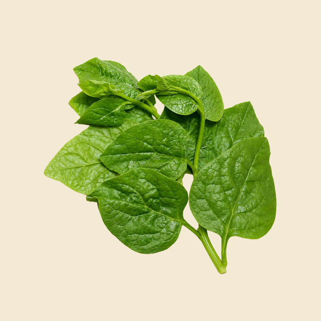 Spinach (Malabar)