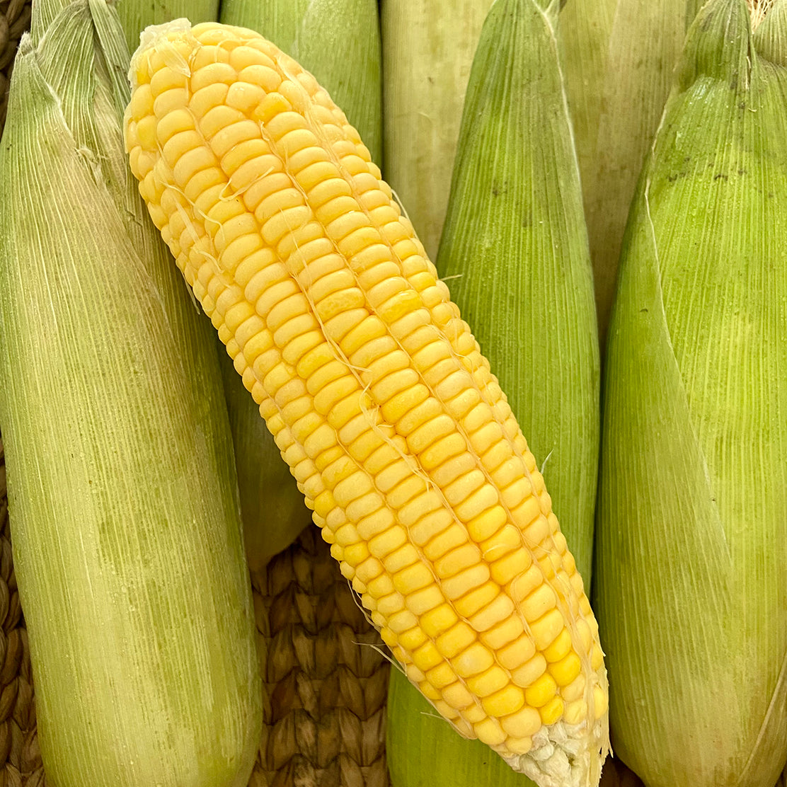 Sweet Corn -Store in the Freezer