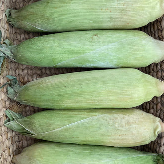 Sweet Corn -Store in the Freezer