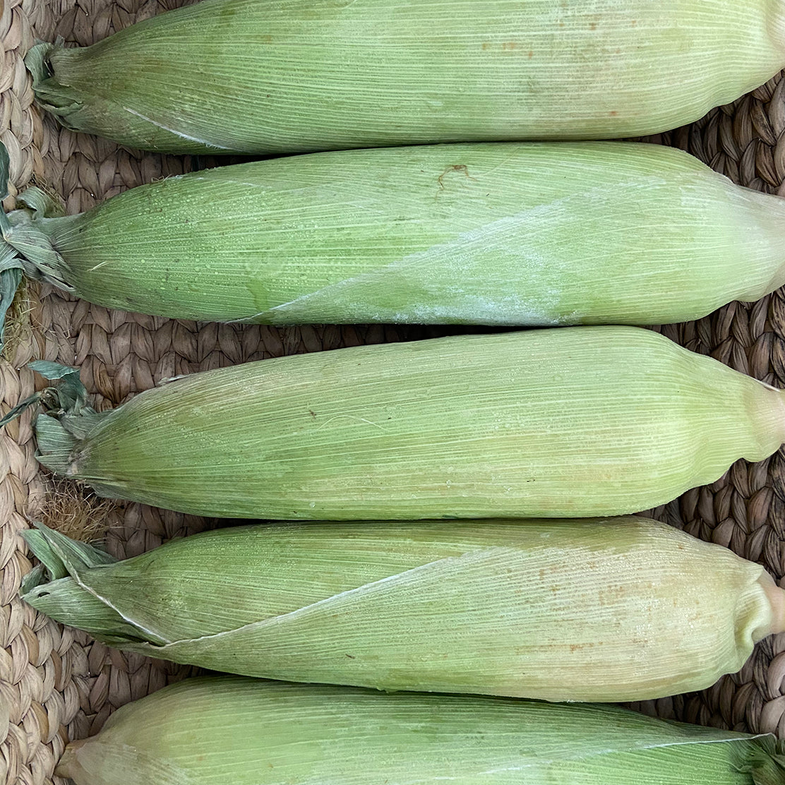 Sweet Corn -Store in the Freezer