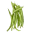French Beans