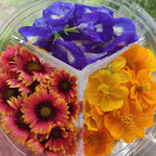 Trio of Edible Flowers