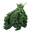 Curly Kale