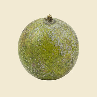 Wood Apple (Bael Fruit)