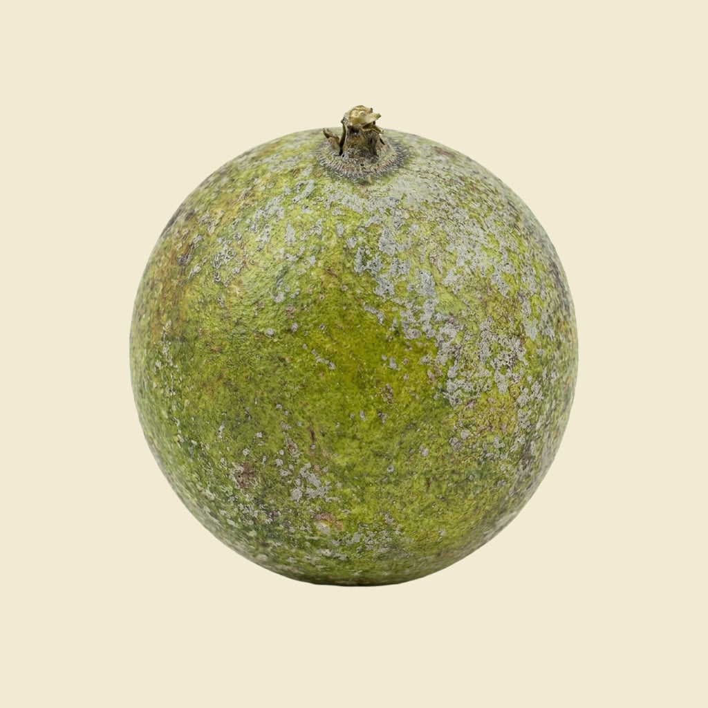 Wood Apple (Bael Fruit)